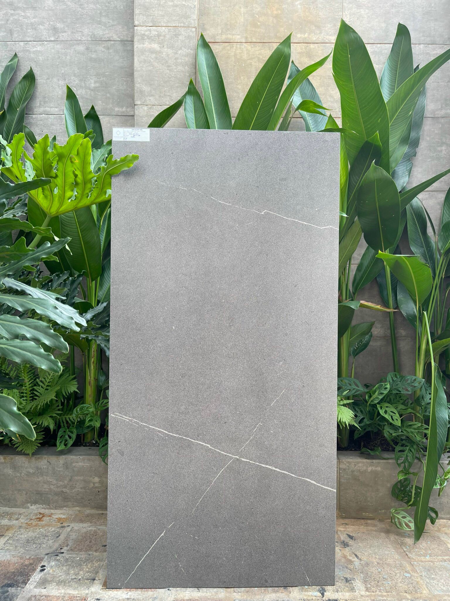 z3954430946533_5921e7f6c492751a0fbc32bb00fe97ce Gạch Mờ Nhám Nhẹ Vân Đá Marble Xám Pietra Marble Grey 60x120cm - Ảnh 1