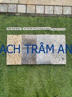 Hàng loạt mẫu thử nhỏ dễ xem dành cho bộ sưu tập đá hoa cương tự nhiên Natural Granite - Ảnh 19