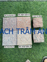Hàng loạt mẫu thử nhỏ dễ xem dành cho bộ sưu tập đá hoa cương tự nhiên Natural Granite - Ảnh 29