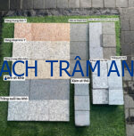 Hàng loạt mẫu thử nhỏ dễ xem dành cho bộ sưu tập đá hoa cương tự nhiên Natural Granite - Ảnh 38