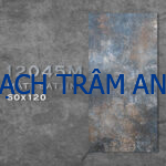 Khơi nguồn cảm hứng thiết kế từ Bộ sưu tập Gạch mặt mờ 60x120cm – Đa sắc, đa vân, sẵn kho Hà Nội - Ảnh 4
