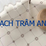 Gạch Lát Sàn 30x30cm Trắng Ngà Họa Tiết Pháp Louis Vuitton – Khi Thời Trang Haute Couture Bước Vào Không Gian Sống - Ảnh 4
