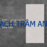 Khơi nguồn cảm hứng thiết kế từ Bộ sưu tập Gạch mặt mờ 60x120cm – Đa sắc, đa vân, sẵn kho Hà Nội - Ảnh 38