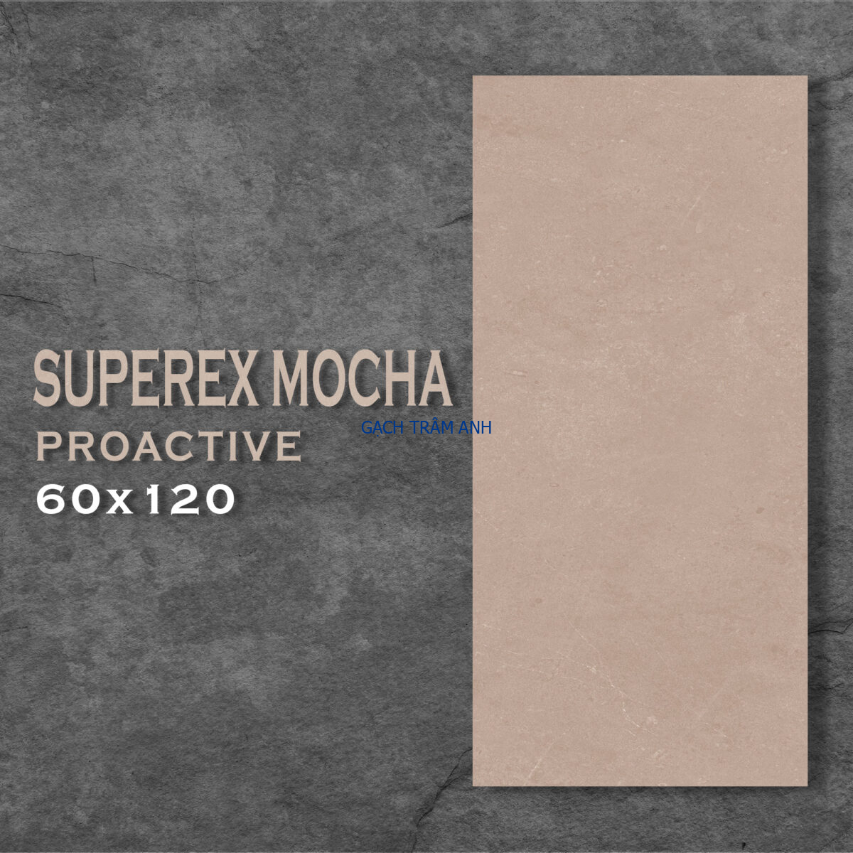 Khơi nguồn cảm hứng thiết kế từ Bộ sưu tập Gạch mặt mờ 60x120cm – Đa sắc, đa vân, sẵn kho Hà Nội - Ảnh 42