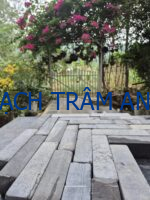 BUSH-HAMMERED BLUESTONE PAVER 5x5x20cm – DẤU CHÂN THỜI GIAN TRÊN NỀN KIẾN TRÚC ĐƯƠNG ĐẠI - Ảnh 4